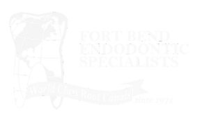 Fort Endo White